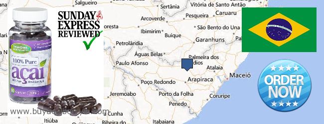 Buy Acai Berry online Alagoas, Brazil Where to Buy Acai Berry online Alagoas, Brazil