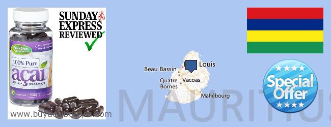 Buy Acai Berry online Mauritius Where to Buy Acai Berry online Mauritius