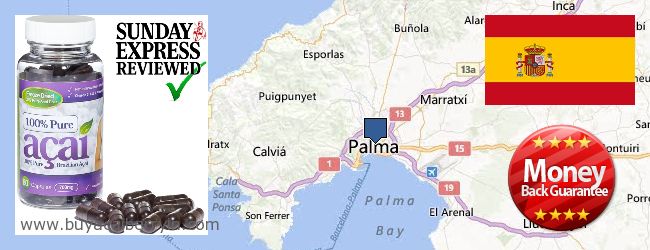 Buy Acai Berry online Palma de Mallorca, Spain Where to Buy Acai Berry online Palma de Mallorca, Spain