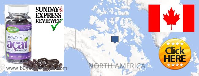 Where to Buy Acai Berry online Abbotsford (Matsqui) BC, Canada