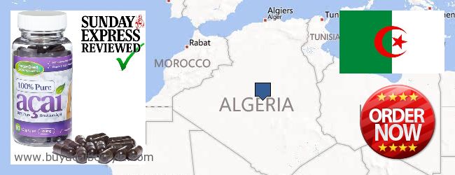 Buy Acai Berry online Algeria Where to Buy Acai Berry online Algeria