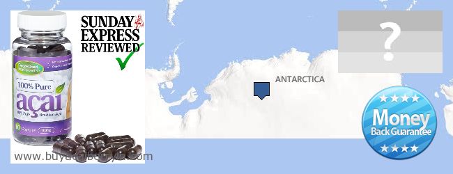 Where to Buy Acai Berry online Antarctica