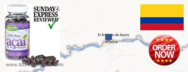 Buy Acai Berry online Arauca, Colombia Where to Buy Acai Berry online Arauca, Colombia