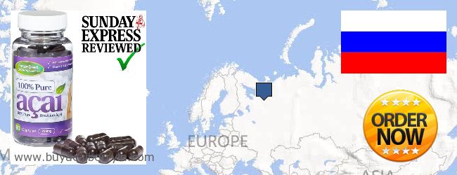 Where to Buy Acai Berry online Arkhangel'skaya oblast, Russia