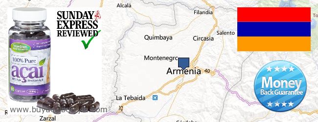 Buy Acai Berry online Armenia Where to Buy Acai Berry online Armenia