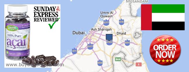 Where to Buy Acai Berry online Ash-Shāriqah [Sharjah], United Arab Emirates