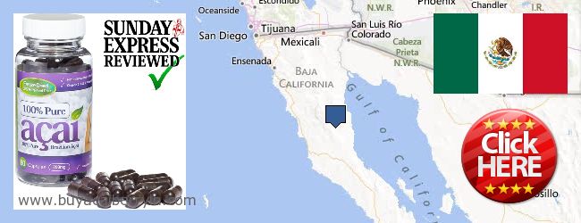 Where to Buy Acai Berry online Baja California, Mexico
