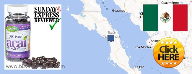 Where to Buy Acai Berry online Baja California Sur, Mexico