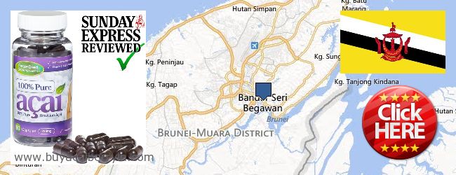 Where to Buy Acai Berry online Bandar Seri Begawan, Brunei