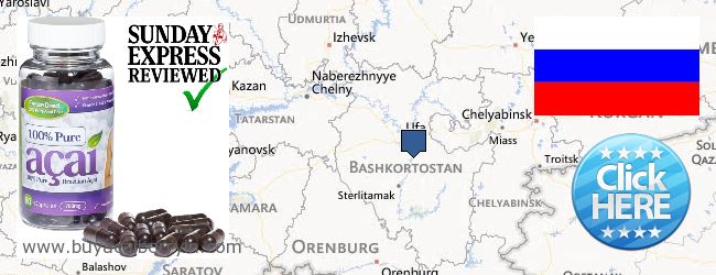Where to Buy Acai Berry online Bashkortostan Republic, Russia