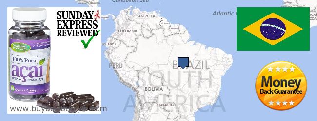 Buy Acai Berry online Brazil Where to Buy Acai Berry online Brazil