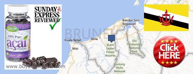 Buy Acai Berry online Brunei Where to Buy Acai Berry online Brunei