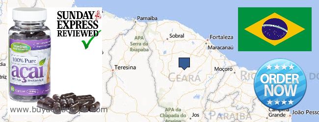 Buy Acai Berry online Ceará, Brazil Where to Buy Acai Berry online Ceará, Brazil