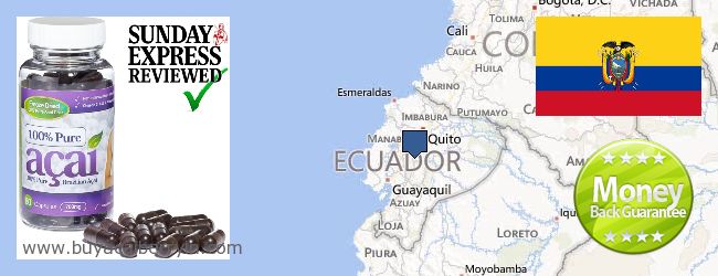 Buy Acai Berry online Ecuador Where to Buy Acai Berry online Ecuador