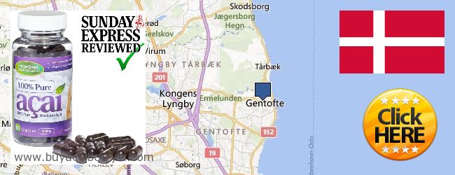 Where to Buy Acai Berry online Gentofte, Denmark