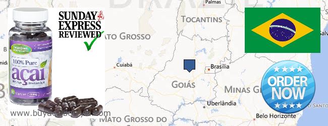Buy Acai Berry online Goiás, Brazil Where to Buy Acai Berry online Goiás, Brazil