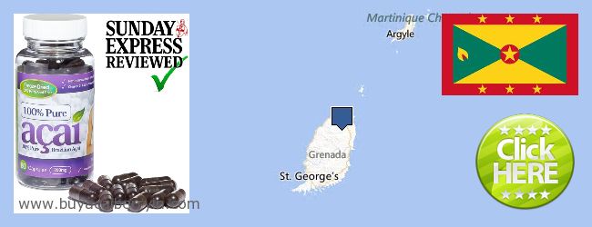 Where to Buy Acai Berry online Grenada