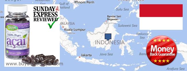 Buy Acai Berry online Indonesia Where to Buy Acai Berry online Indonesia