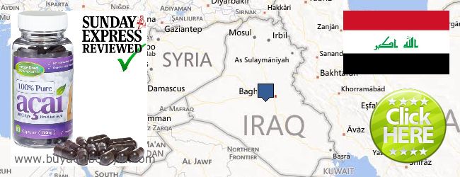 Buy Acai Berry online Iraq Where to Buy Acai Berry online Iraq
