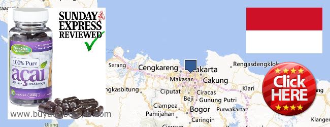 Buy Acai Berry online Jakarta, Indonesia Where to Buy Acai Berry online Jakarta, Indonesia