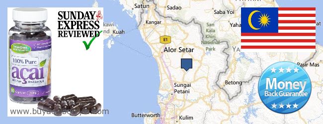 Where to Buy Acai Berry online Kedah, Malaysia