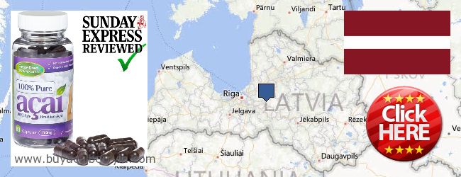 Buy Acai Berry online Latvia Where to Buy Acai Berry online Latvia