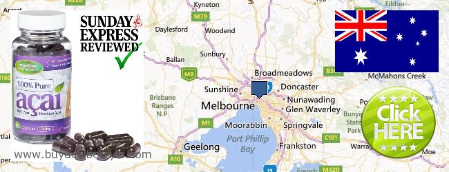 Where to Buy Acai Berry online Melbourne, Australia