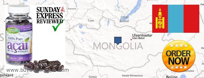 Where to Buy Acai Berry online Mongolia