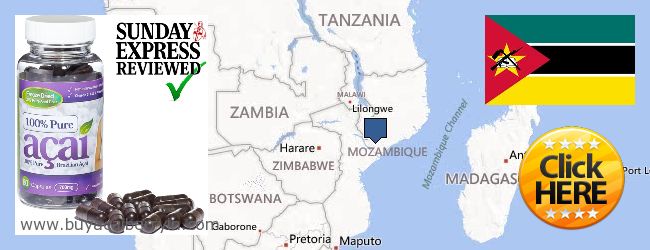 Buy Acai Berry online Mozambique Where to Buy Acai Berry online Mozambique