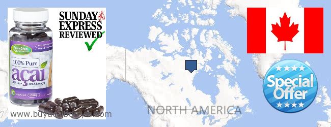 Buy Acai Berry online New Brunswick NB, Canada Where to Buy Acai Berry online New Brunswick NB, Canada