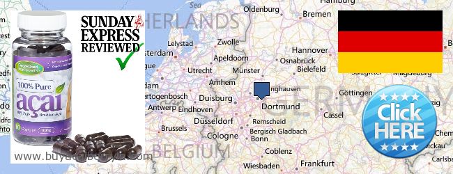 Where to Buy Acai Berry online (North Rhine-Westphalia), Germany