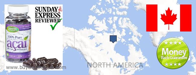 Buy Acai Berry online Northwest Territories NWT, Canada Where to Buy Acai Berry online Northwest Territories NWT, Canada