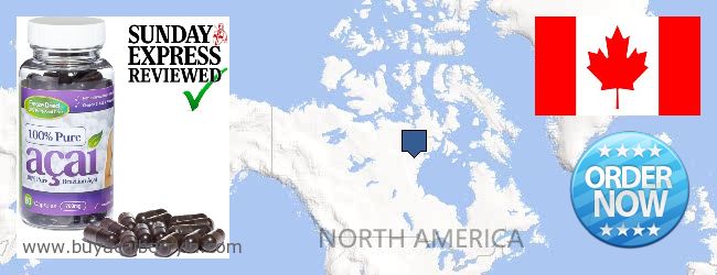 Buy Acai Berry online Nova Scotia NS, Canada Where to Buy Acai Berry online Nova Scotia NS, Canada