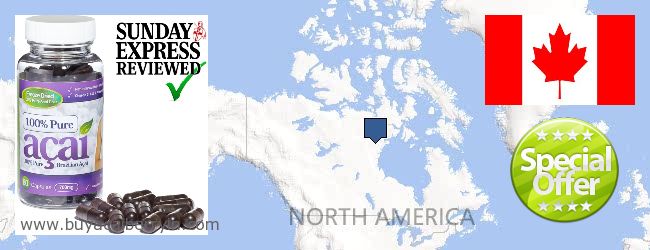 Buy Acai Berry online Saguenay (Chicoutimi-Jonquière) QUE, Canada Where to Buy Acai Berry online Saguenay (Chicoutimi-Jonquière) QUE, Canada
