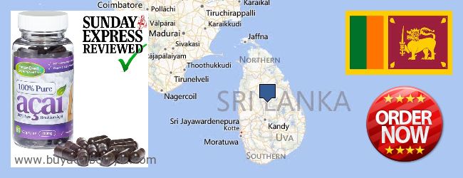 Buy Acai Berry online Sri Lanka Where to Buy Acai Berry online Sri Lanka