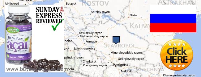 Where to Buy Acai Berry online Stavropol'skiy kray, Russia