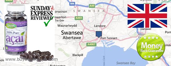 Where to Buy Acai Berry online Swansea, United Kingdom