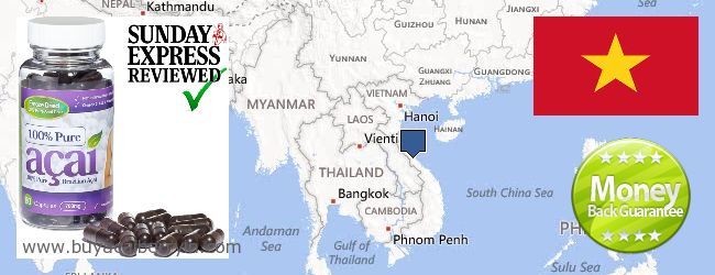 Where to Buy Acai Berry online Vietnam