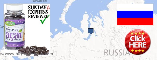 Where to Buy Acai Berry online Yamalo-Nenetskiy avtonomnyy okrug, Russia