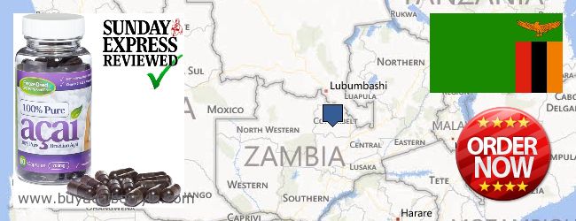 Buy Acai Berry online Zambia Where to Buy Acai Berry online Zambia